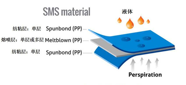 口罩SMS結(jié)構(gòu)